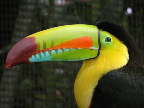 San Jose Hot Springs Tour: Costa Rica Encompassed - 14 Days
