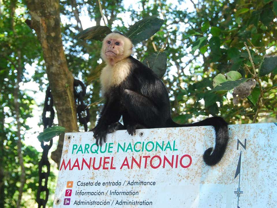 Costa Rica Encompassed - 14 days - undefined - Image 6