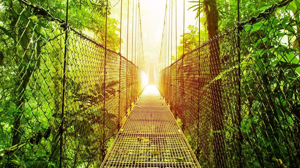 La Fortuna and Arenal Volcano Expedition - Greenway Nature Tours - Costa Rica - Image 2