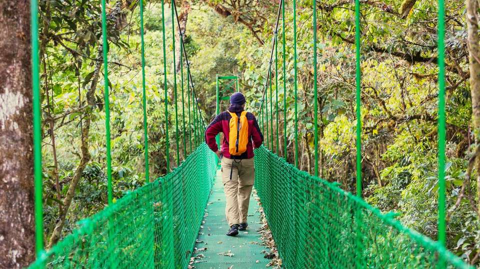 La Fortuna and Arenal Volcano Expedition - Greenway Nature Tours - Costa Rica - Image 3