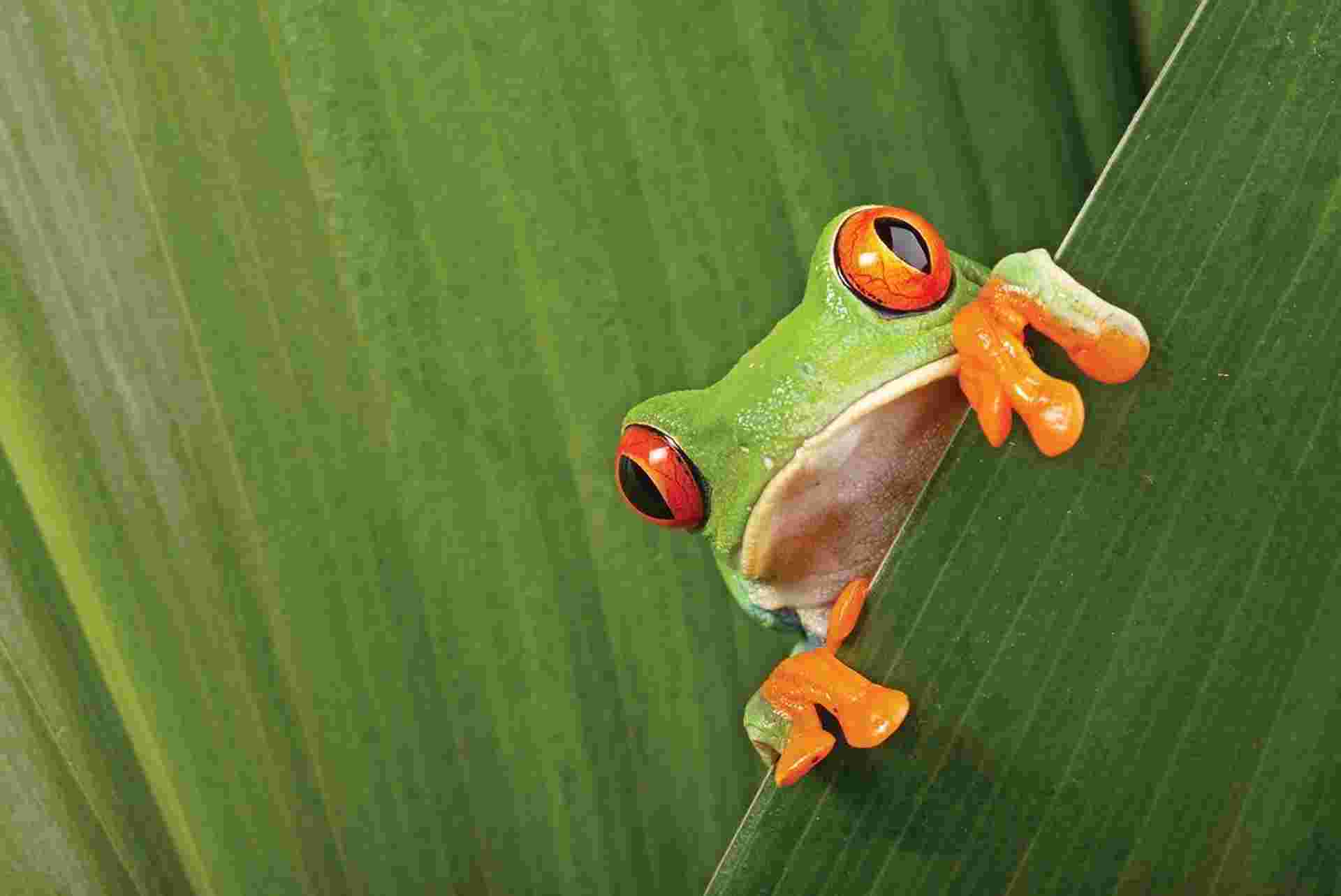 Costa Rica Experience