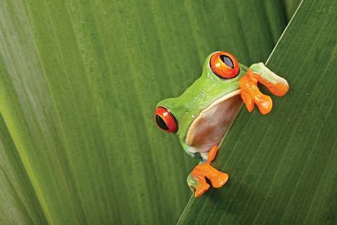 Waterfalls Tour: Costa Rica Experience