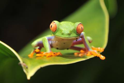 Solo Trips: Costa Rica Experience