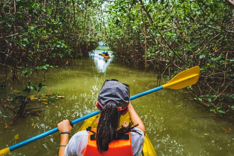 Costa Rica Experience - undefined - Image 4
