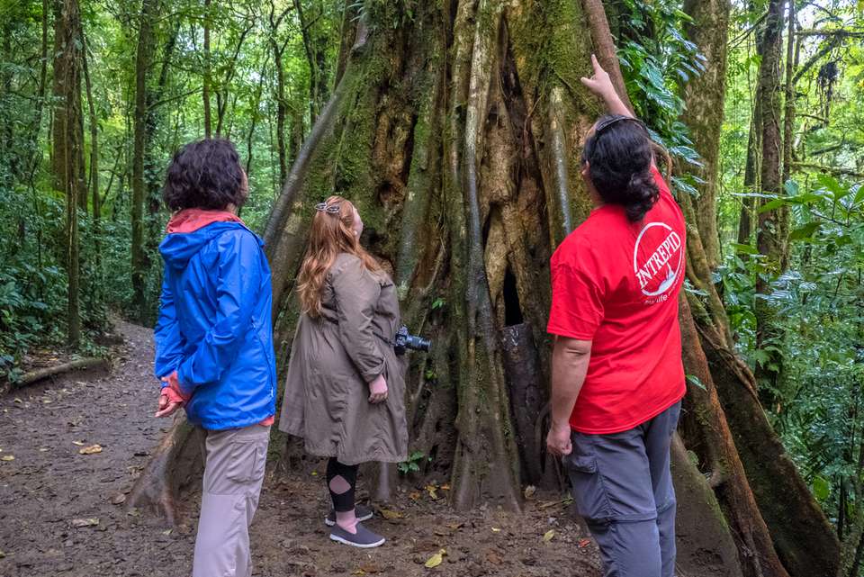 Costa Rica Experience - undefined - Image 5