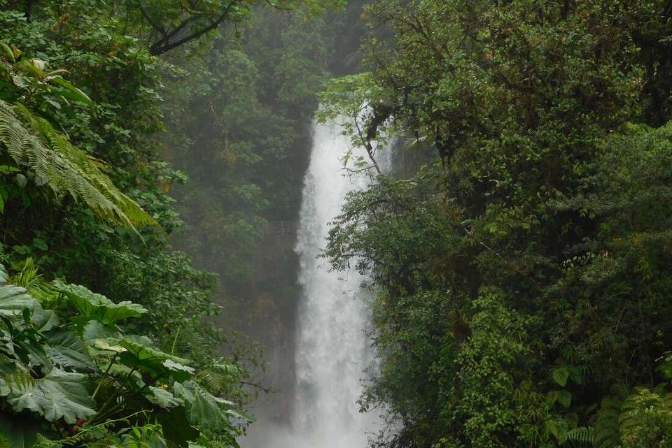 Costa Rica Experience - undefined - Image 7