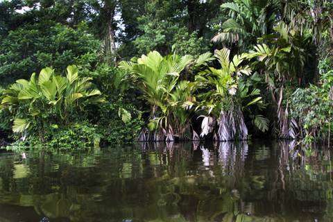 Costa Rica Explorer - 12 Days