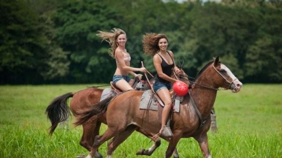 Costa Rica Explorer - Greenway Nature Tours - Costa Rica