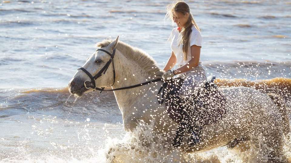 Costa Rica Explorer - Greenway Nature Tours - Costa Rica