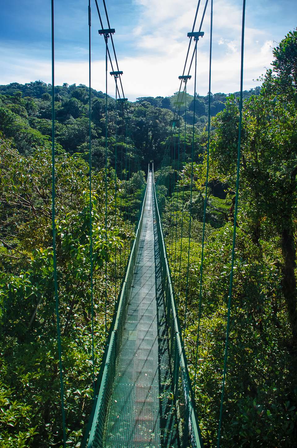 Costa Rica Family Escape - Exodus Adventure Travels - Costa Rica - Image 13