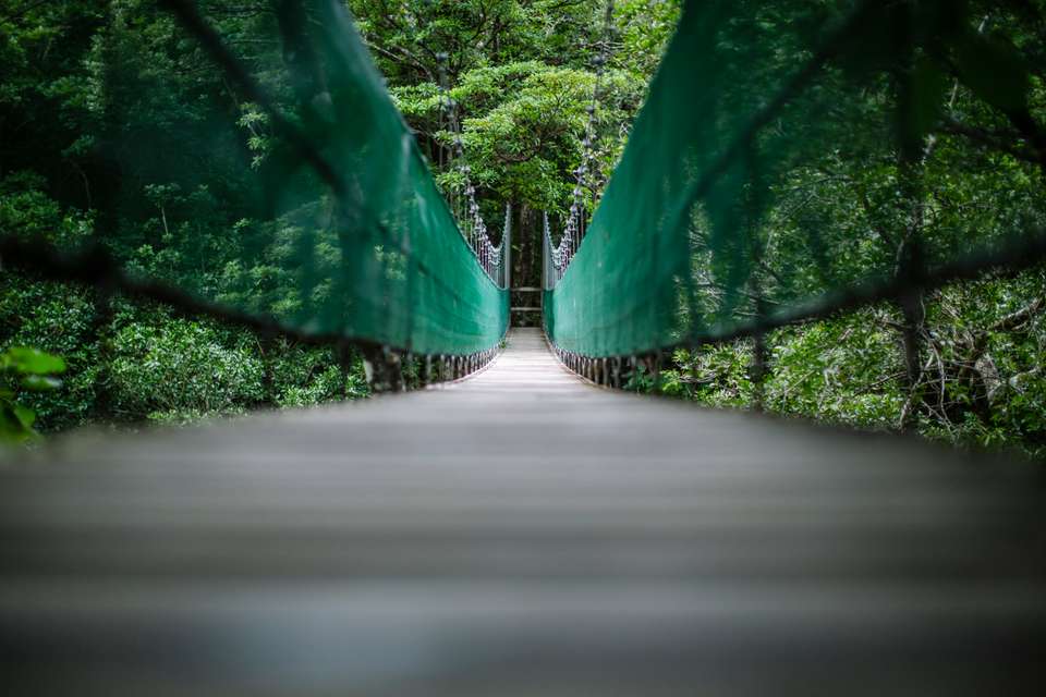 Image 19 of 21