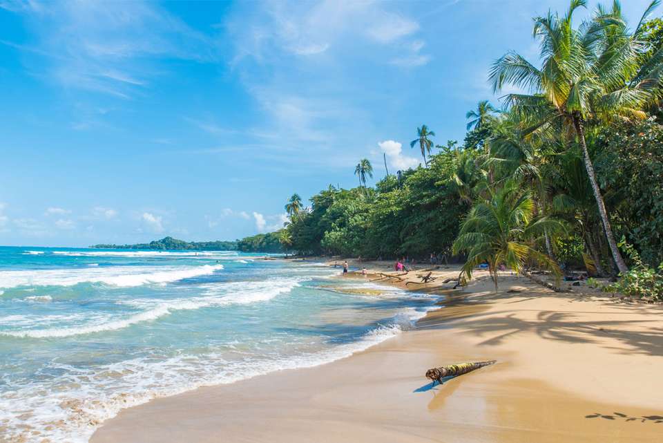Costa Rica Family Holiday - Intrepid Travel - Costa Rica - Image 5
