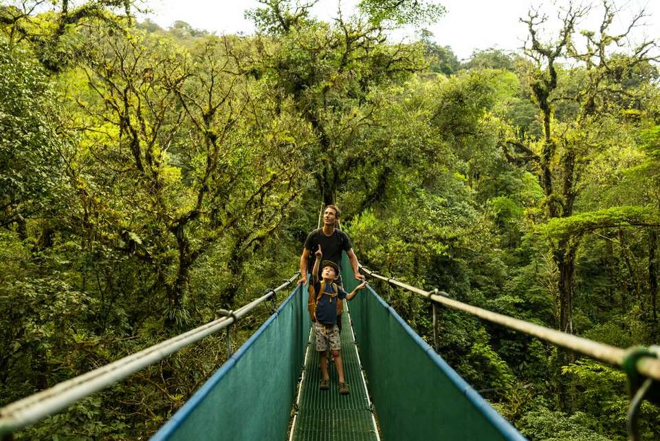 Costa Rica Family Holiday - Intrepid Travel - Costa Rica - Image 6