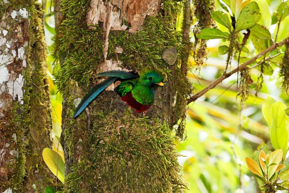 Costa Rica Family Holiday - Intrepid Travel - Costa Rica - Image 11