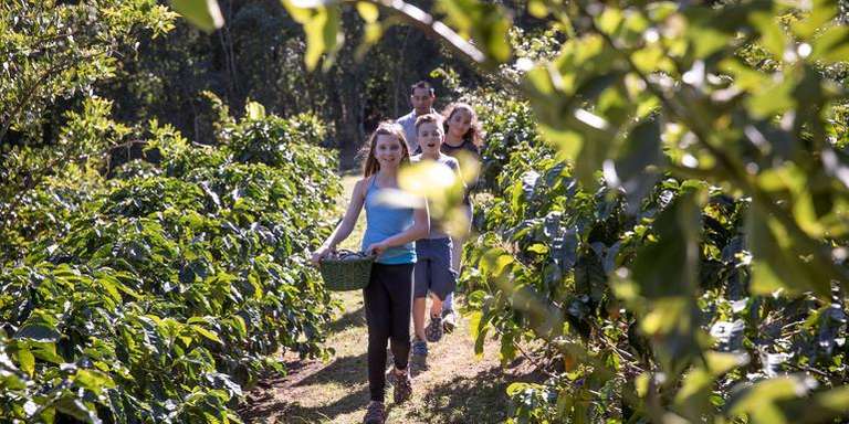 San Jose Rainforest and jungle visits Tour: Costa Rica Family Journey: From Rainforest to Coast