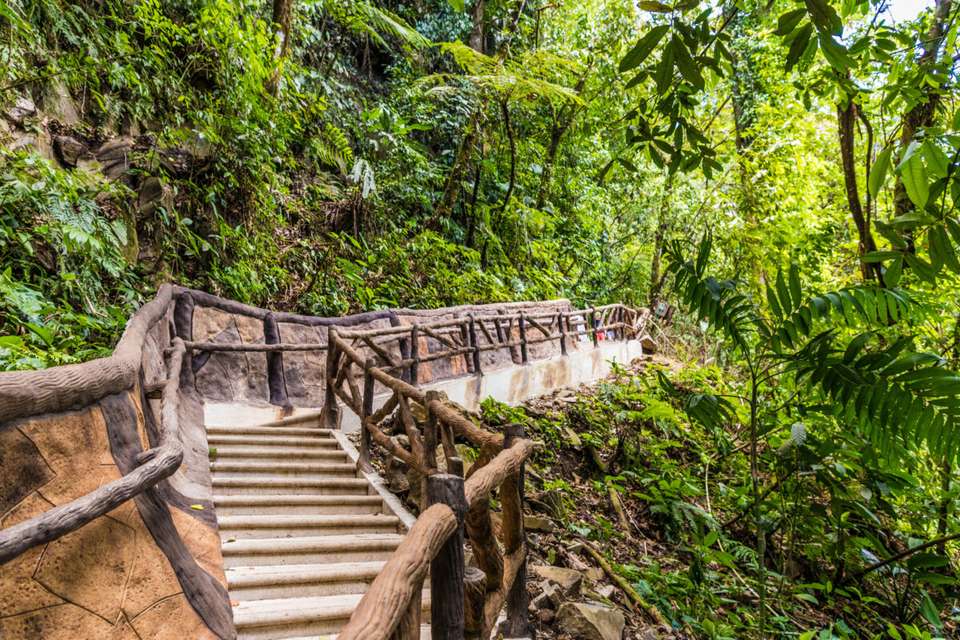 Costa Rica Family Wild Adventure - undefined - Image 7