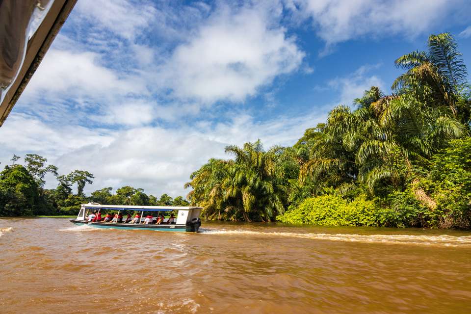 Costa Rica Family Wild Adventure - undefined - Image 6