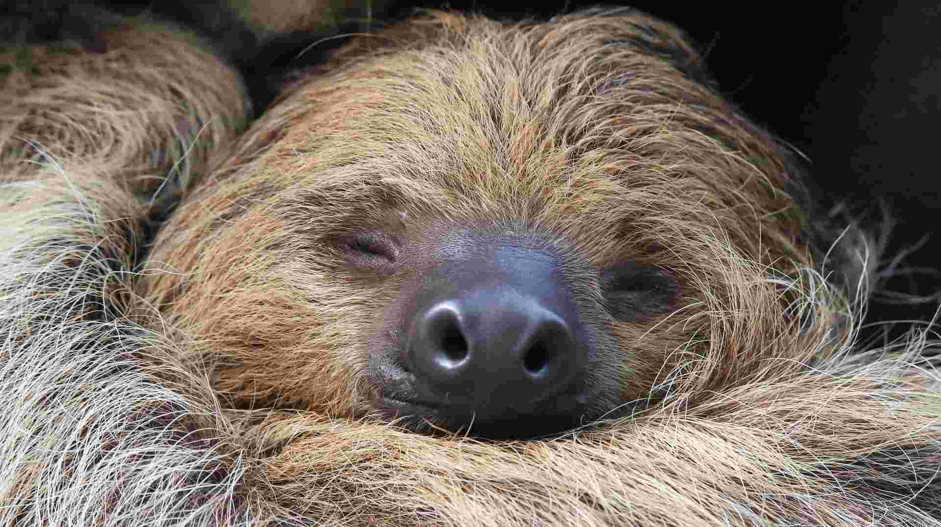 Costa Rica Highlights