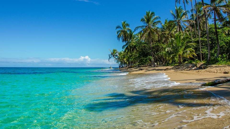 Costa Rica Highlights - Greenway Nature Tours - Costa Rica - Image 3