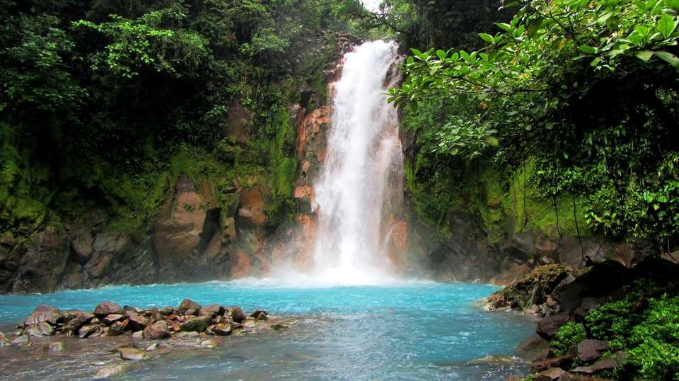 Costa Rica Highlights - Greenway Nature Tours - Costa Rica - Image 5