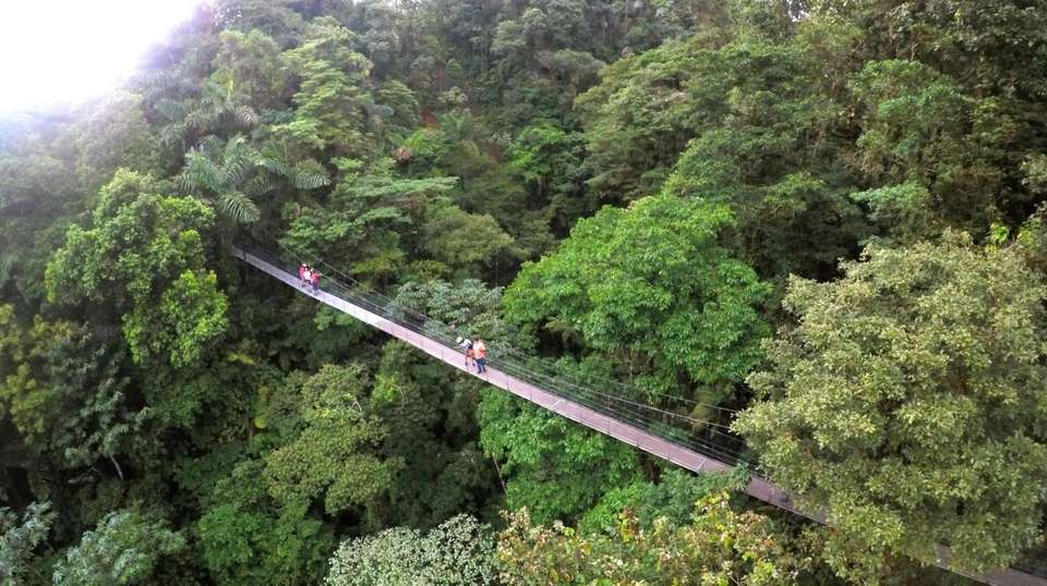 Costa Rica Magic Adventure - Greenway Nature Tours - Costa Rica - Image 12