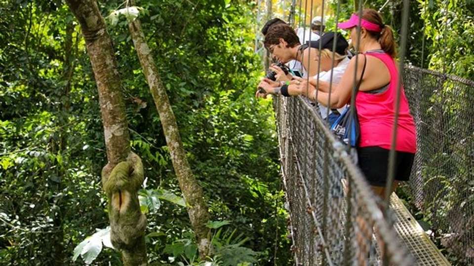 Costa Rica Magic Adventure - Greenway Nature Tours - Costa Rica - Image 2