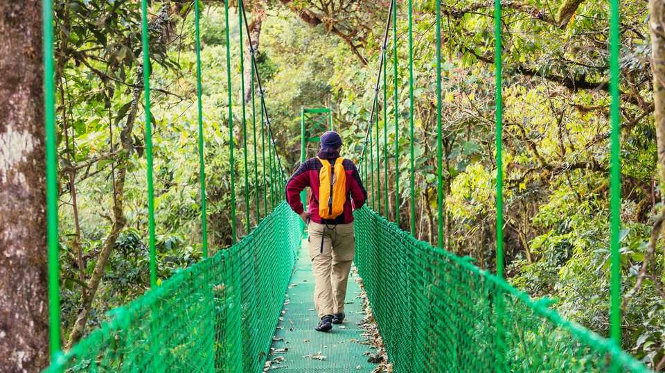 Costa Rica Magic Adventure - Greenway Nature Tours - Costa Rica - Image 10