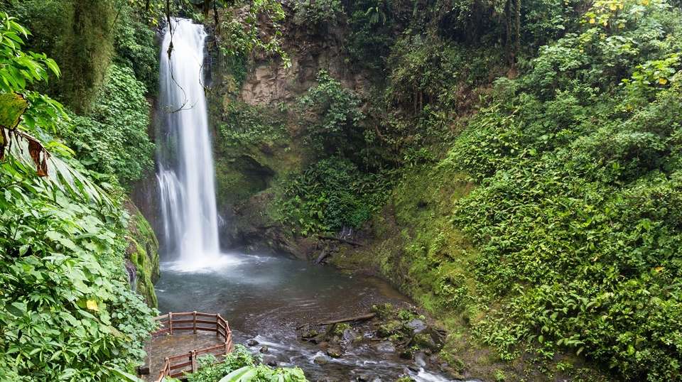 Costa Rica Magic Adventure - Greenway Nature Tours - Costa Rica - Image 8