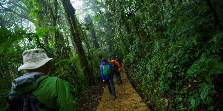 San Jose Rainforest and jungle visits Tour: Costa Rica: Monteverde and La Fortuna