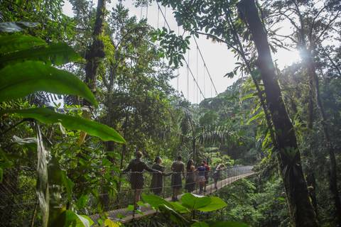 Wildlife, Landscapes And Nature Tour: Costa Rica: Monteverde And La Fortuna