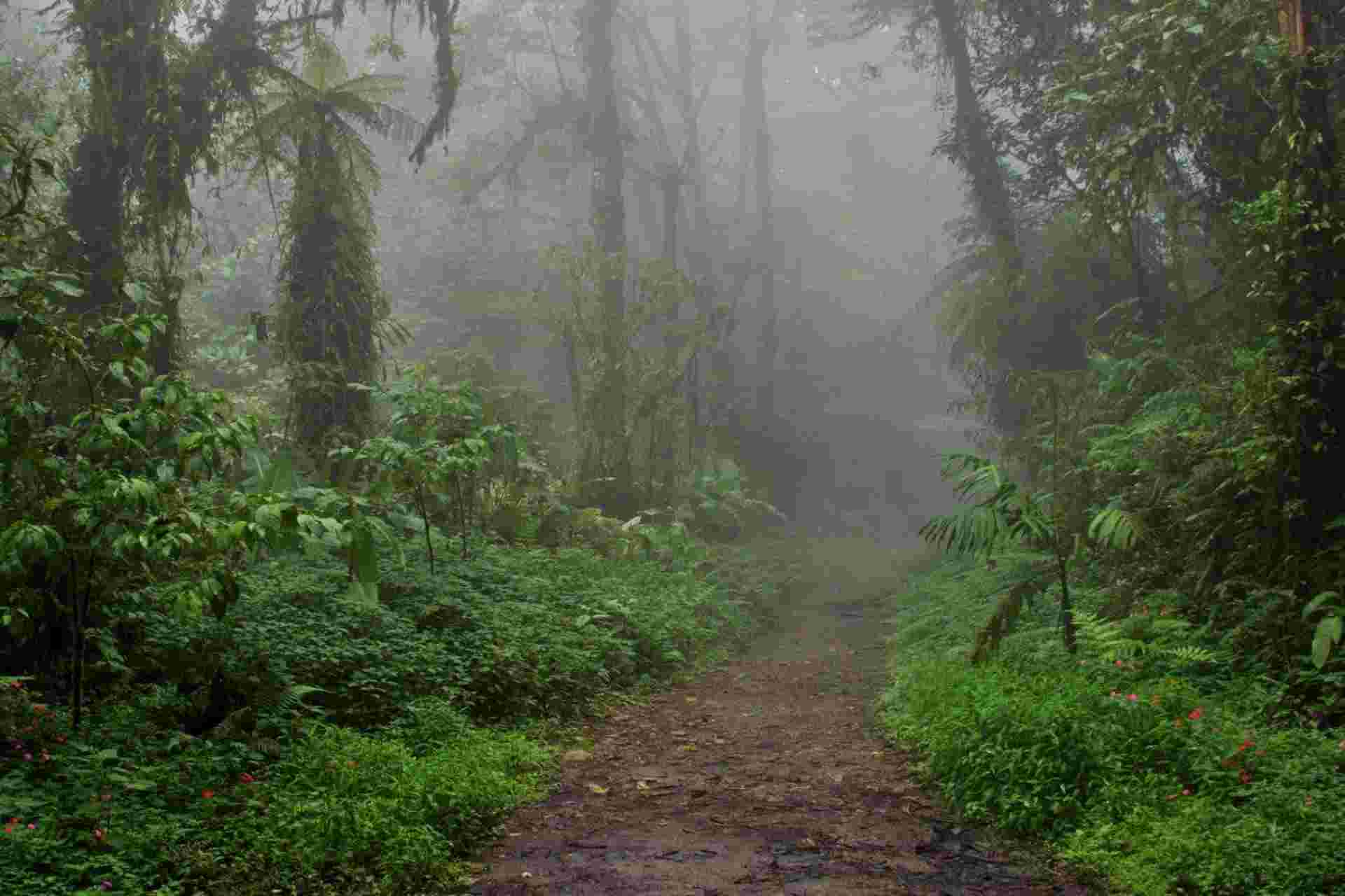 Costa Rica Natural Paradise