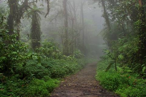 San Jose Beach Tour: Costa Rica Natural Paradise