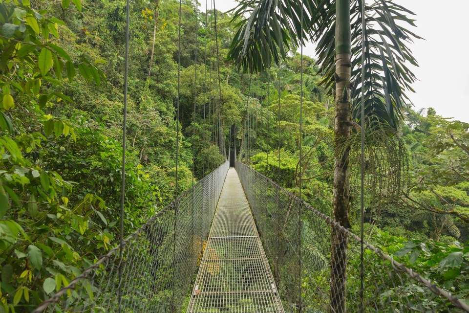 Costa Rica Natural Paradise - Destination Services - Costa Rica - Image 3