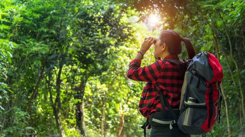 Costa Rica Nature Escape - Greenway Nature Tours - Costa Rica