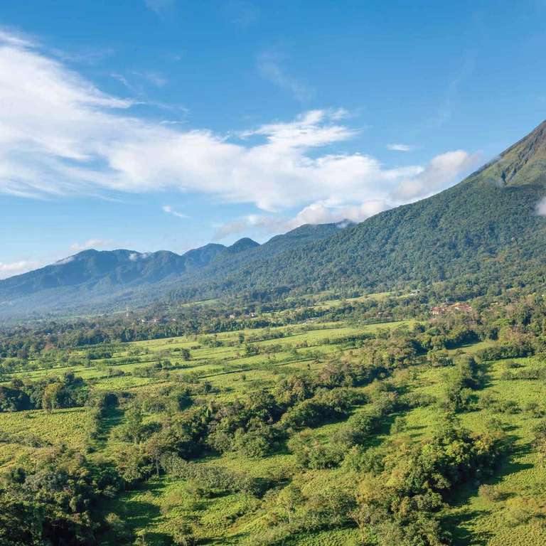 Costa Rica Family Tour Packages: Costa Rica Rainforest - Small Group