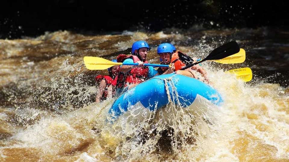 Costa Rica: Rivers, Rainforest & Beaches - Greenway Nature Tours - Costa Rica - Image 2