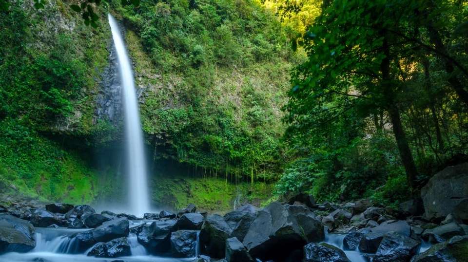 Costa Rica: Rivers, Rainforest & Beaches - Greenway Nature Tours - Costa Rica - Image 1
