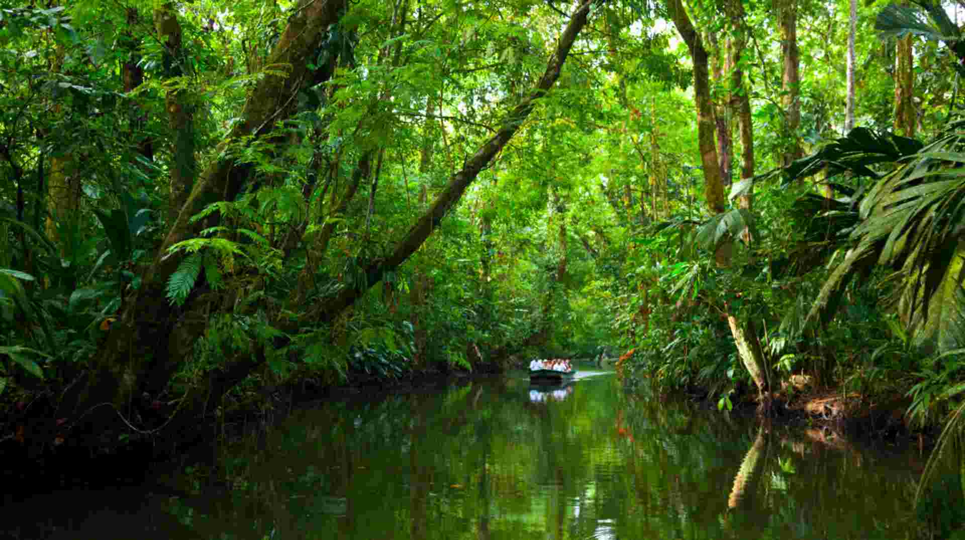 Costa Rica's Coastal Secrets