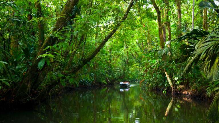San Jose Wildlife safaris and game drives Tour: Costa Rica's Coastal Secrets