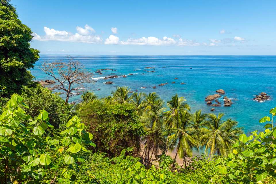 Costa Rica's Coastal Secrets - undefined - Image 24