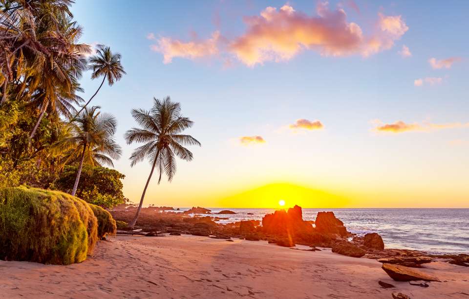 Costa Rica's Coastal Secrets - undefined - Image 22