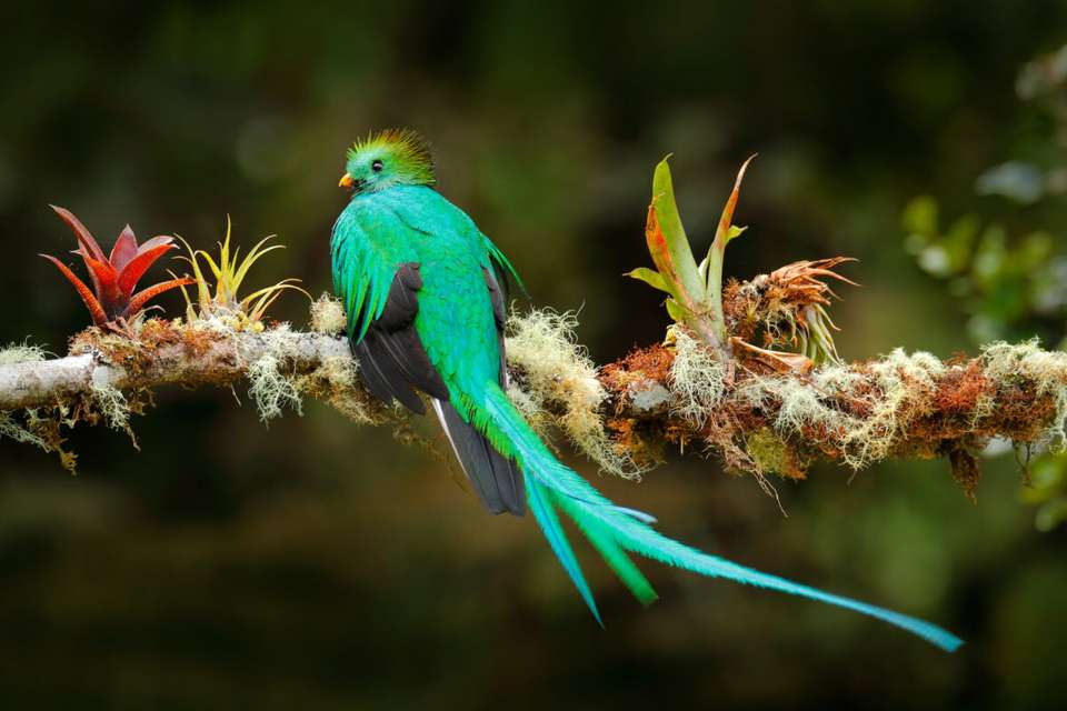Costa Rica's Coastal Secrets - undefined - Image 14