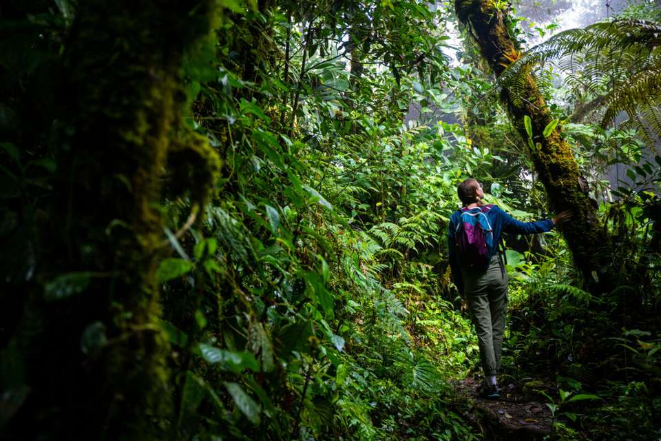 Costa Rica's Coastal Secrets - undefined - Image 12