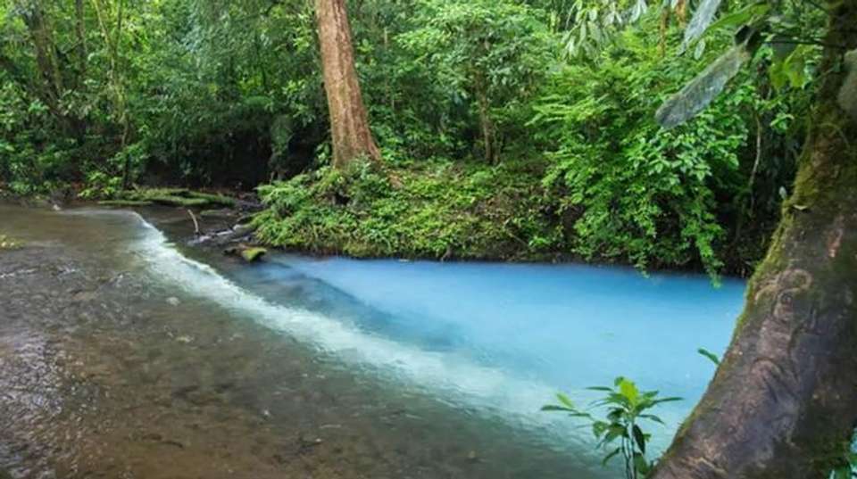 Costa Rica Self-Drive Adventure - Amazilia Travel - Costa Rica - Image 6