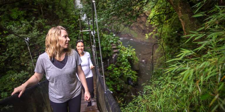 Costa Rica: The Wonders & Wildlife of the North - 6 days
