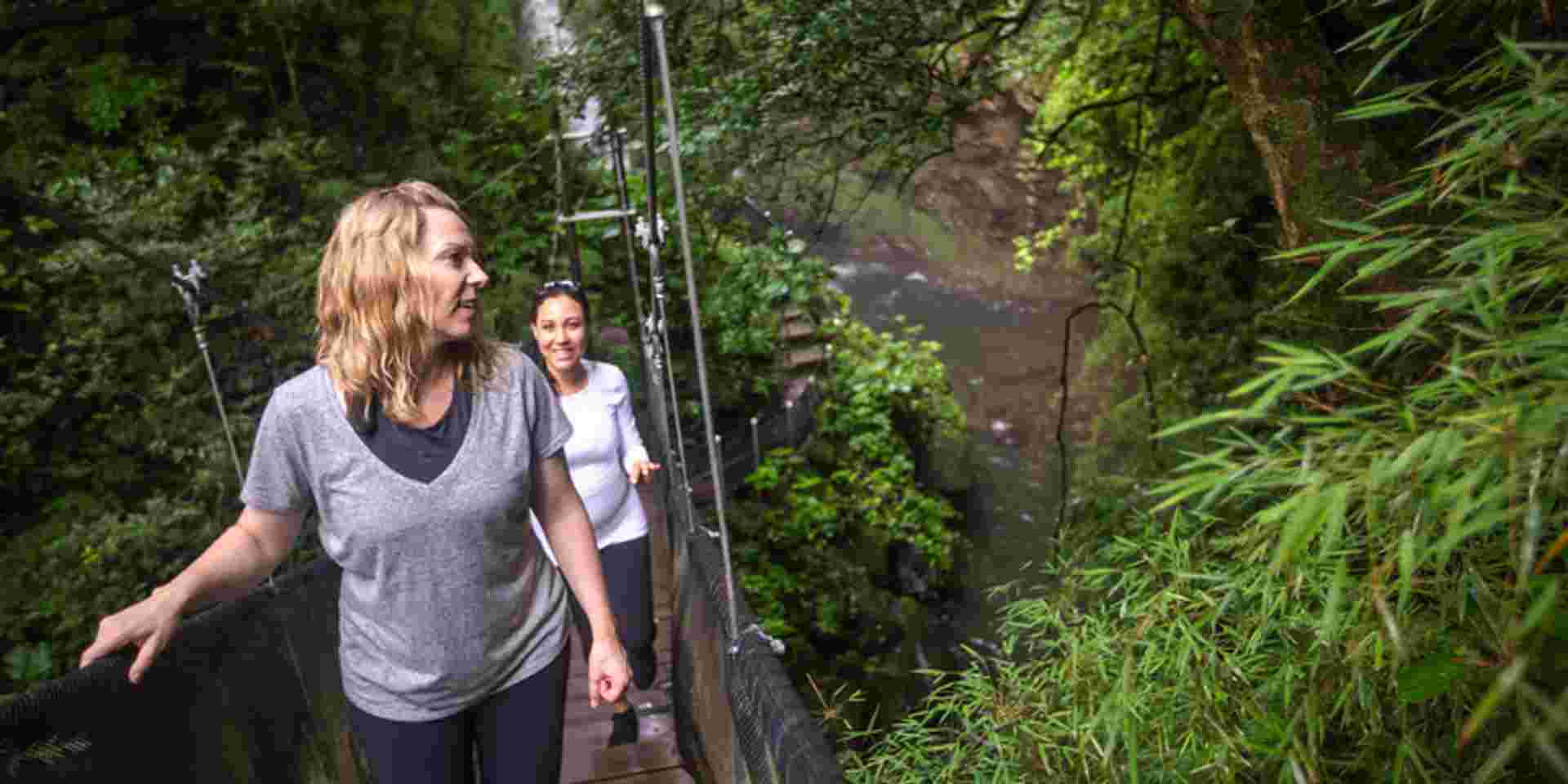 Costa Rica: The Wonders & Wildlife of the North