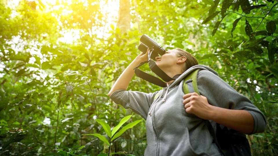 Costa Rica Top Adventure - Greenway Nature Tours - Costa Rica - Image 10