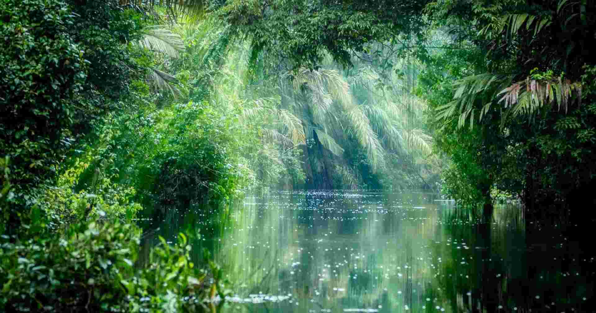 Costa Rica Wildlife Tour