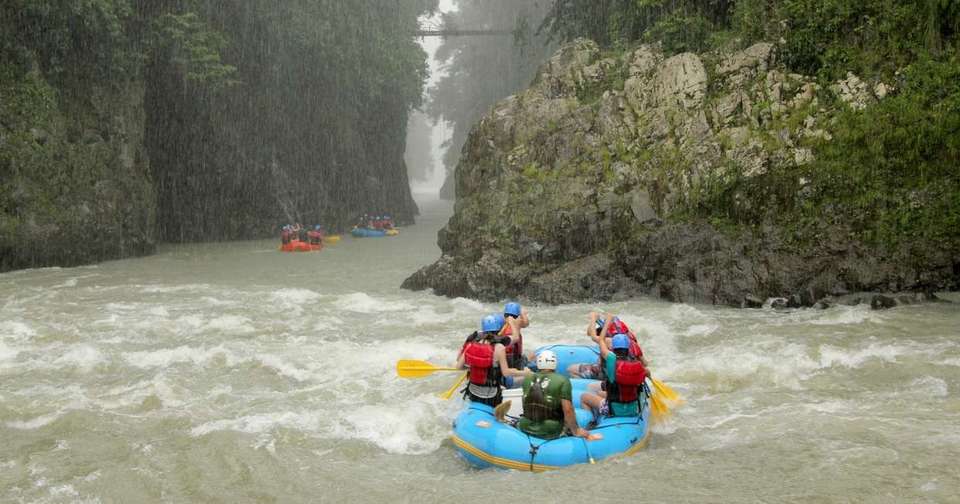 Costa Rica Wildlife Tour - Explore - Costa Rica - Image 3