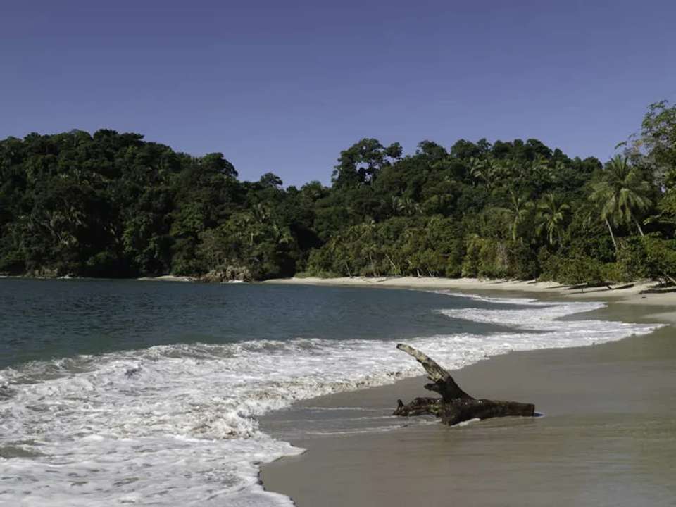 Costa Rica Wildlife Tour - undefined - Image 2